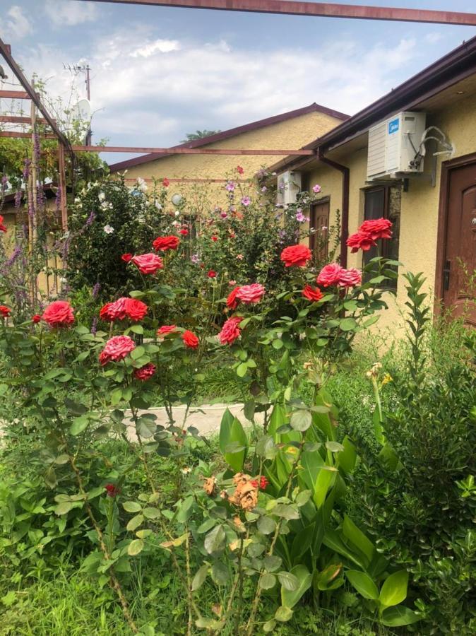 Hotel Villa Eniseli 외부 사진